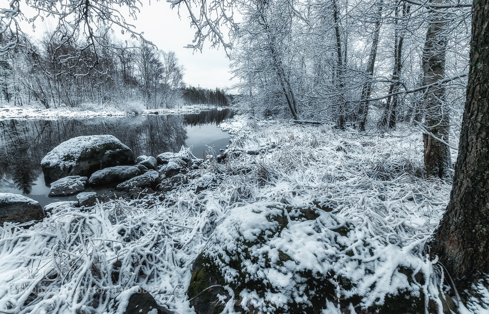 Nikon D300 sample photo. Snow cover photography