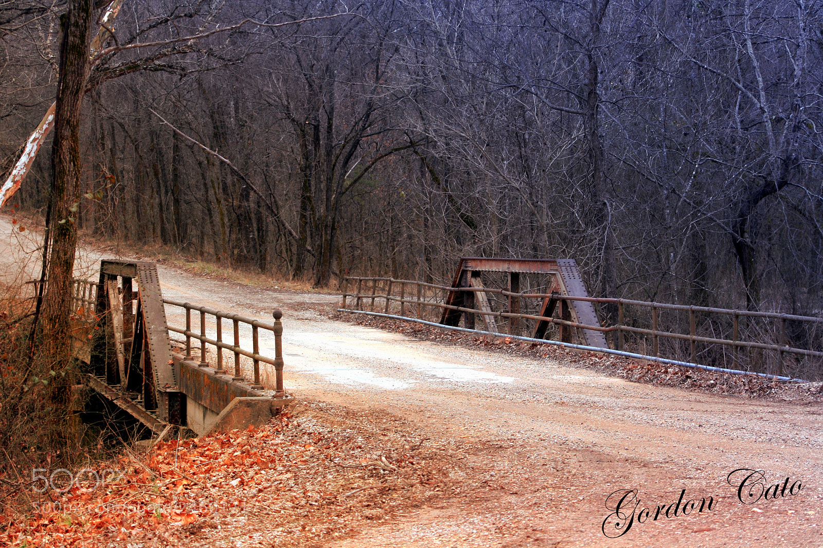 Canon EOS 1000D (EOS Digital Rebel XS / EOS Kiss F) sample photo. The old iron bridge photography