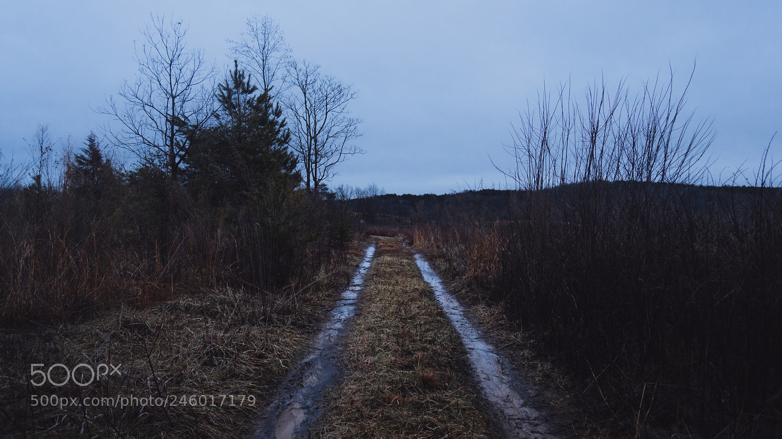 Nikon D600 sample photo. The driveway photography