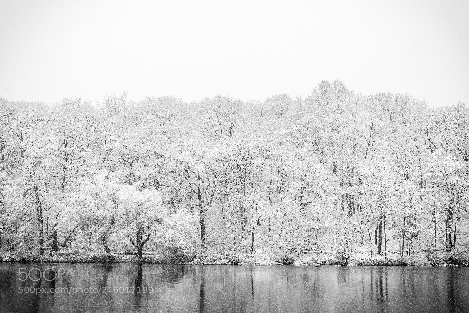 Nikon D600 sample photo. Snow #1 photography