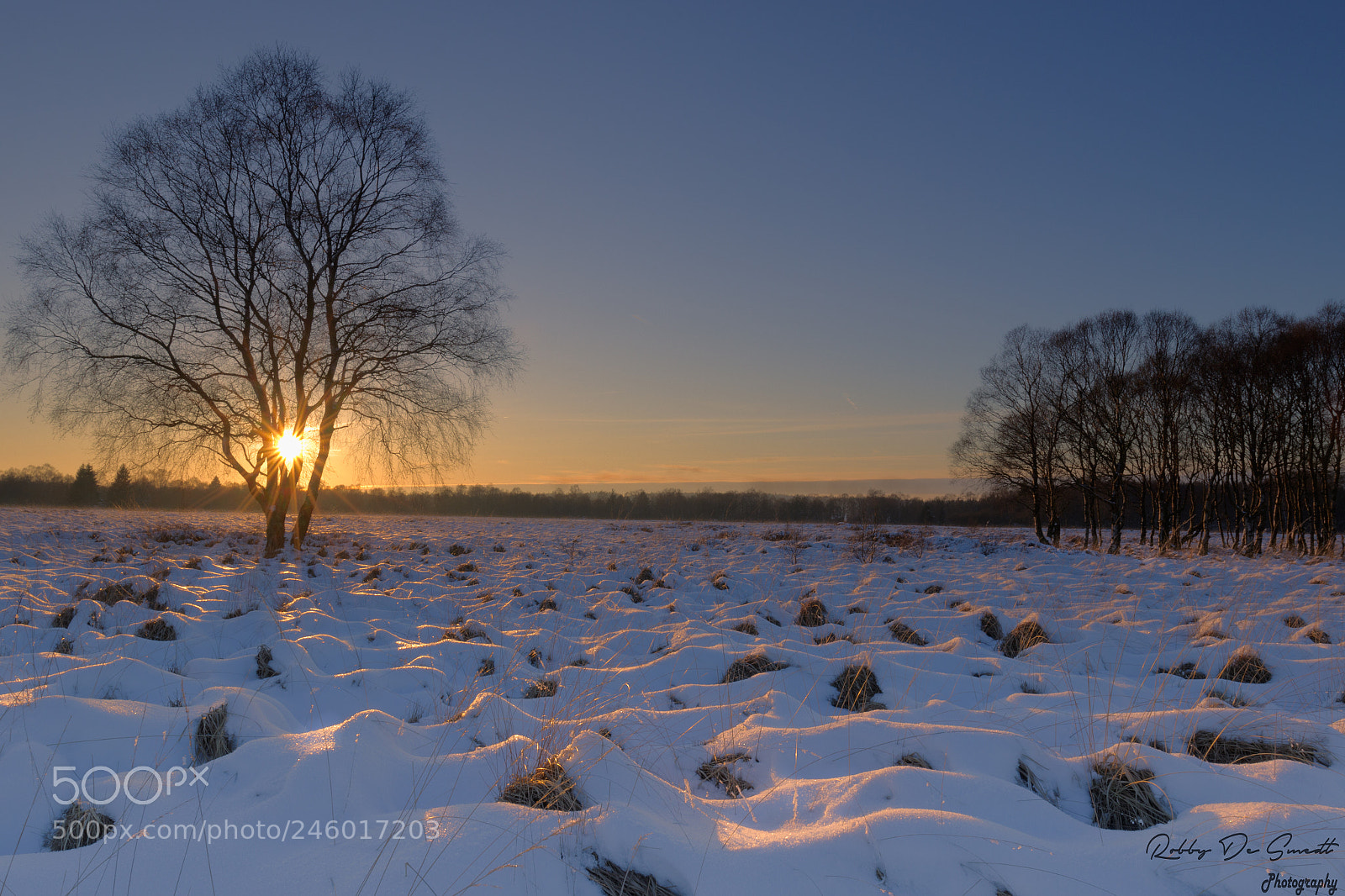 Canon EOS 7D Mark II sample photo. Sunset in les hautes photography