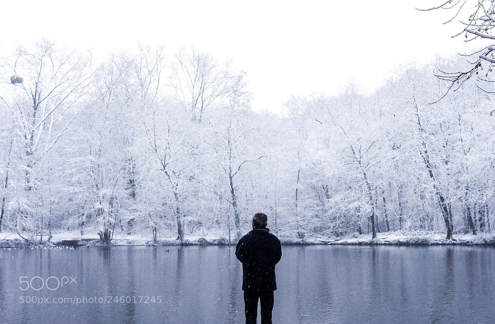 Nikon D600 sample photo. Snow #3 photography