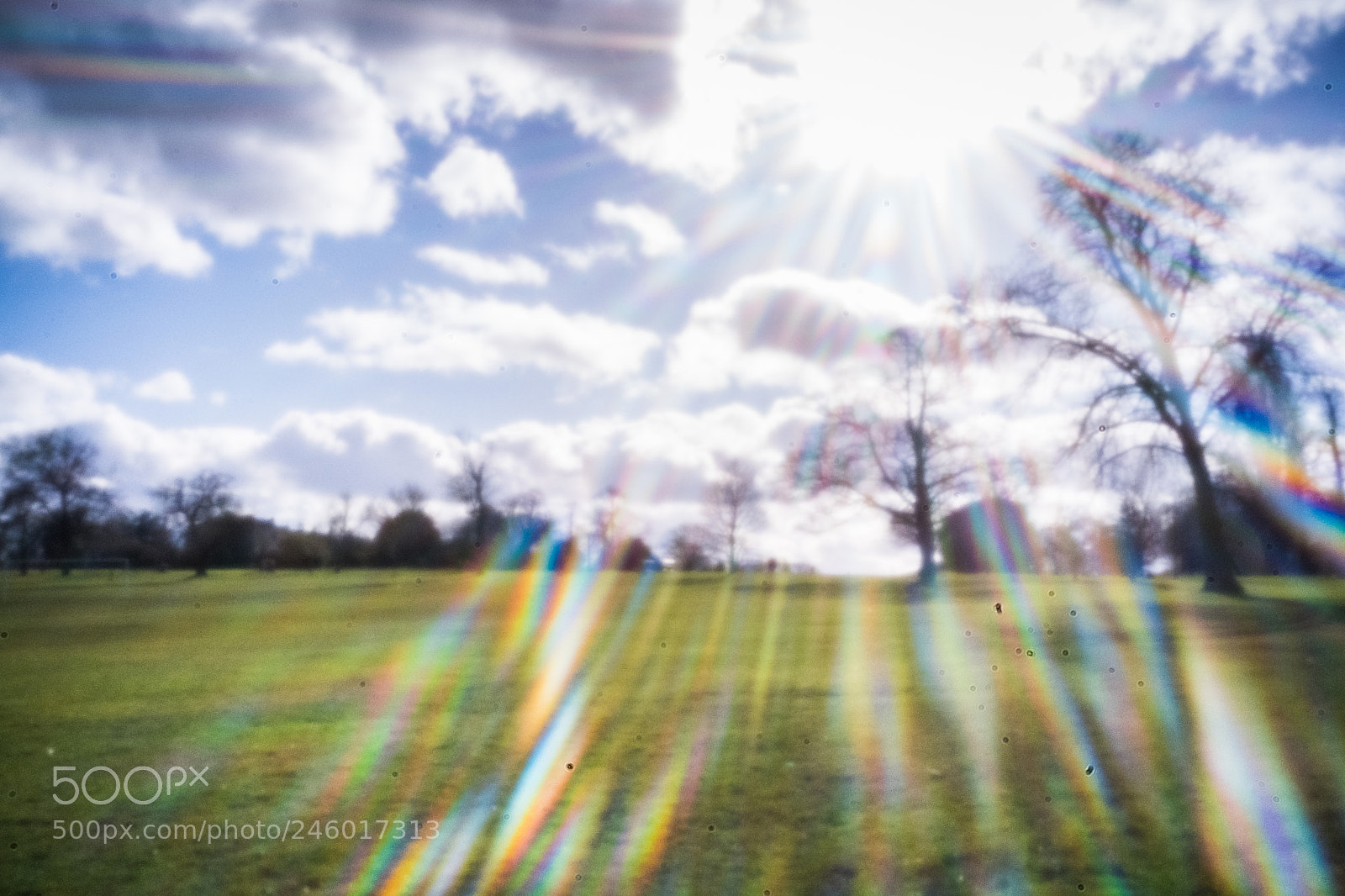 Fujifilm X-Pro2 sample photo. Light leak ii photography