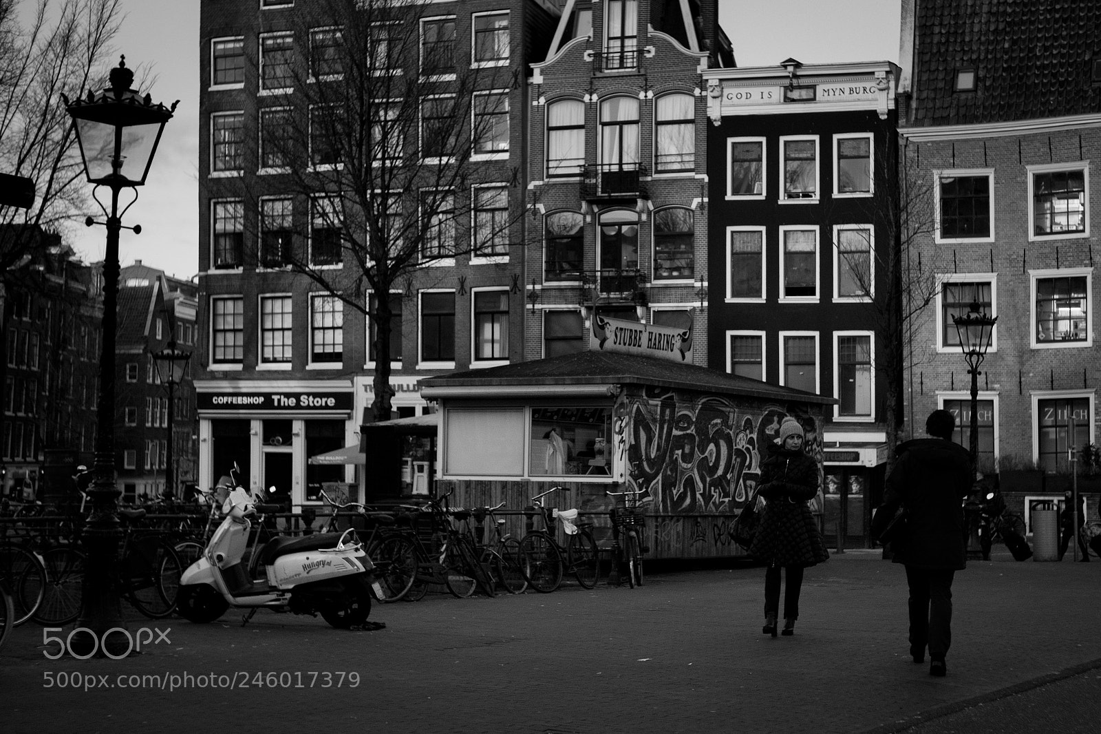 Fujifilm X-Pro2 sample photo. Herrings photography