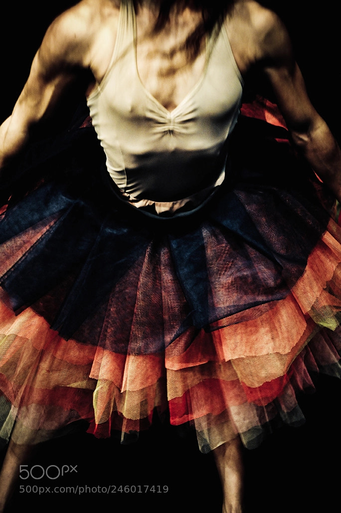 Nikon D300S sample photo. "drama queen" photography