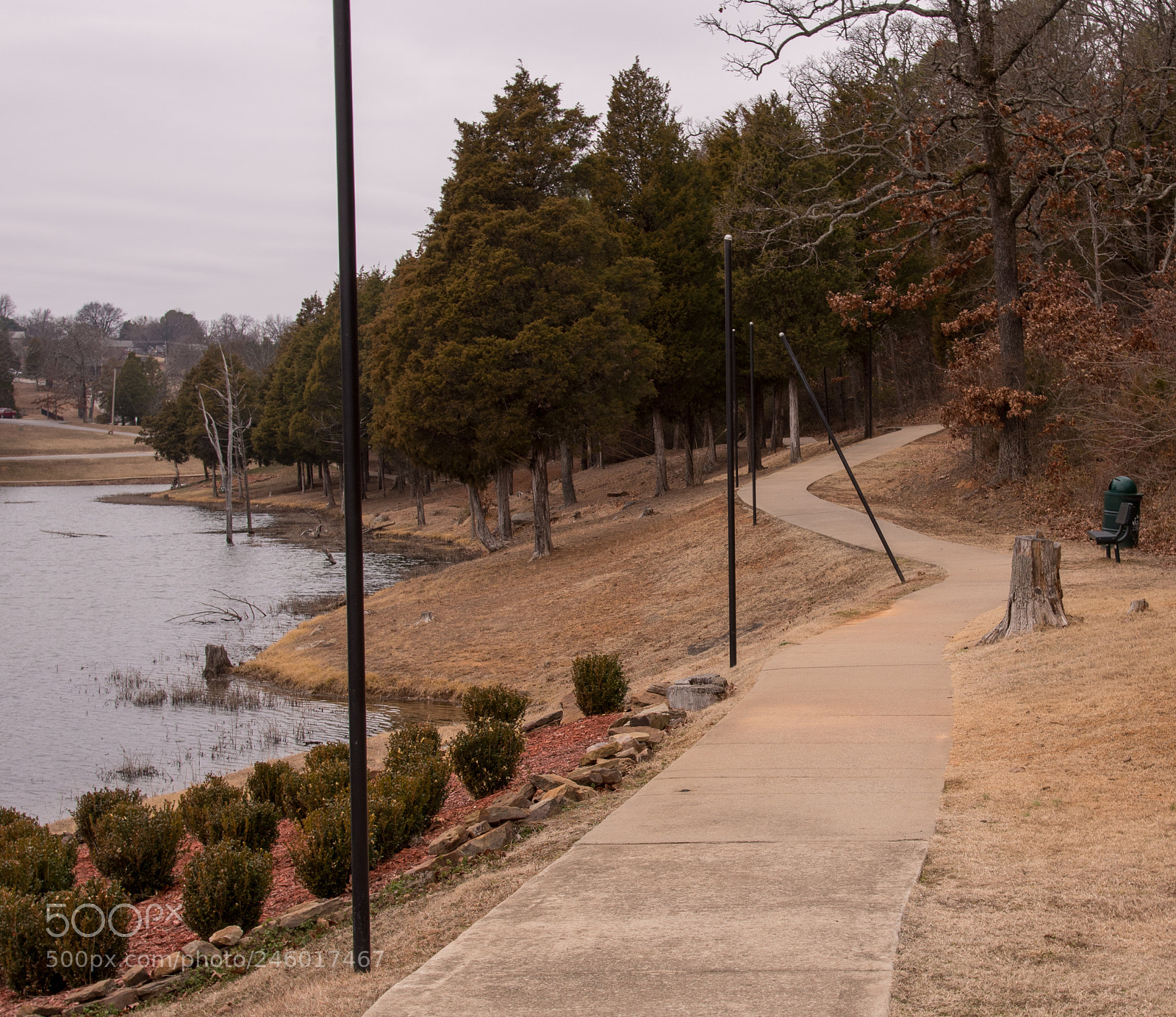Nikon D810 sample photo. Something's off photography