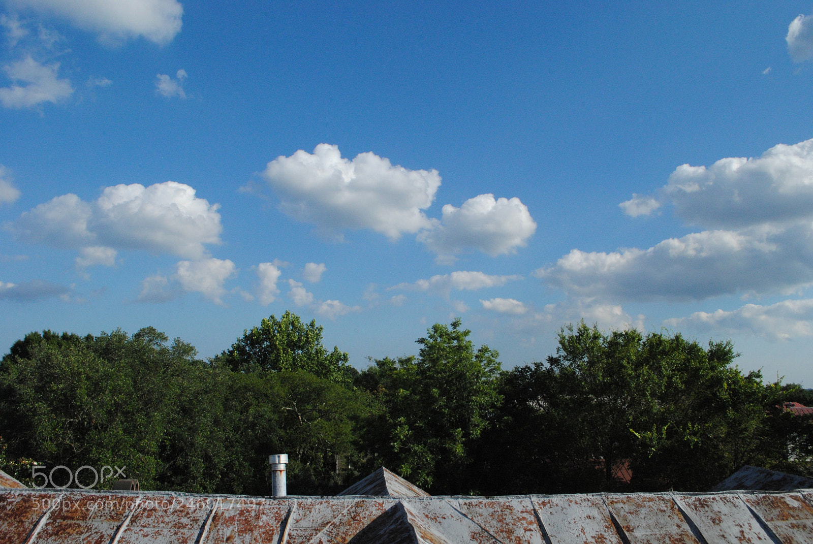 Nikon D3000 sample photo. The roof series photography