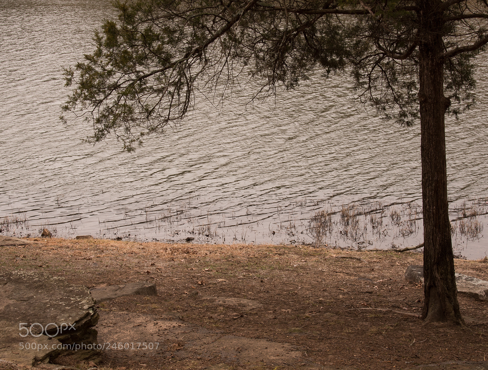 Nikon D810 sample photo. Waterline photography
