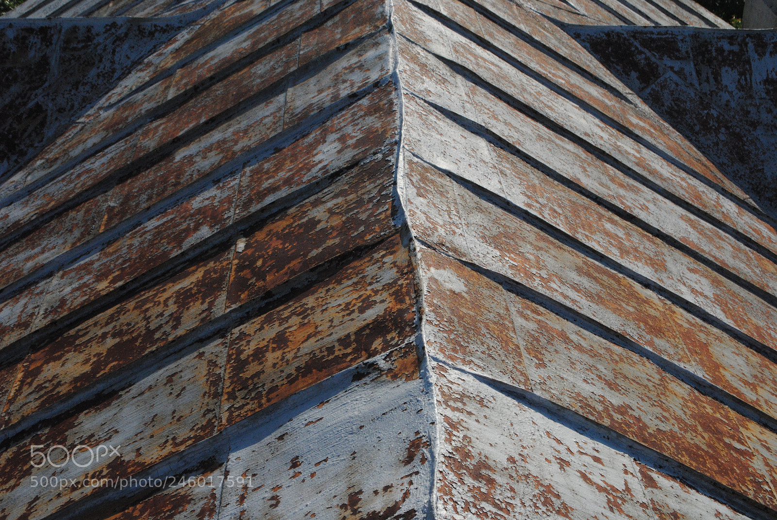 Nikon D3000 sample photo. The roof series photography