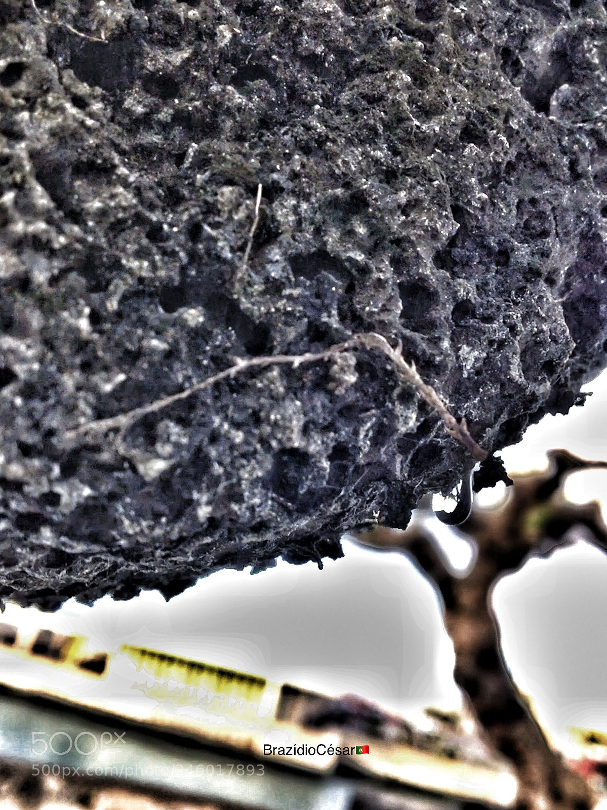 Apple iPhone 6s sample photo. Untitled photography