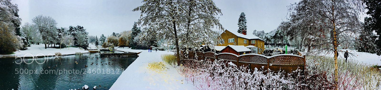 Apple iPhone 6s sample photo. Let it snow! photography