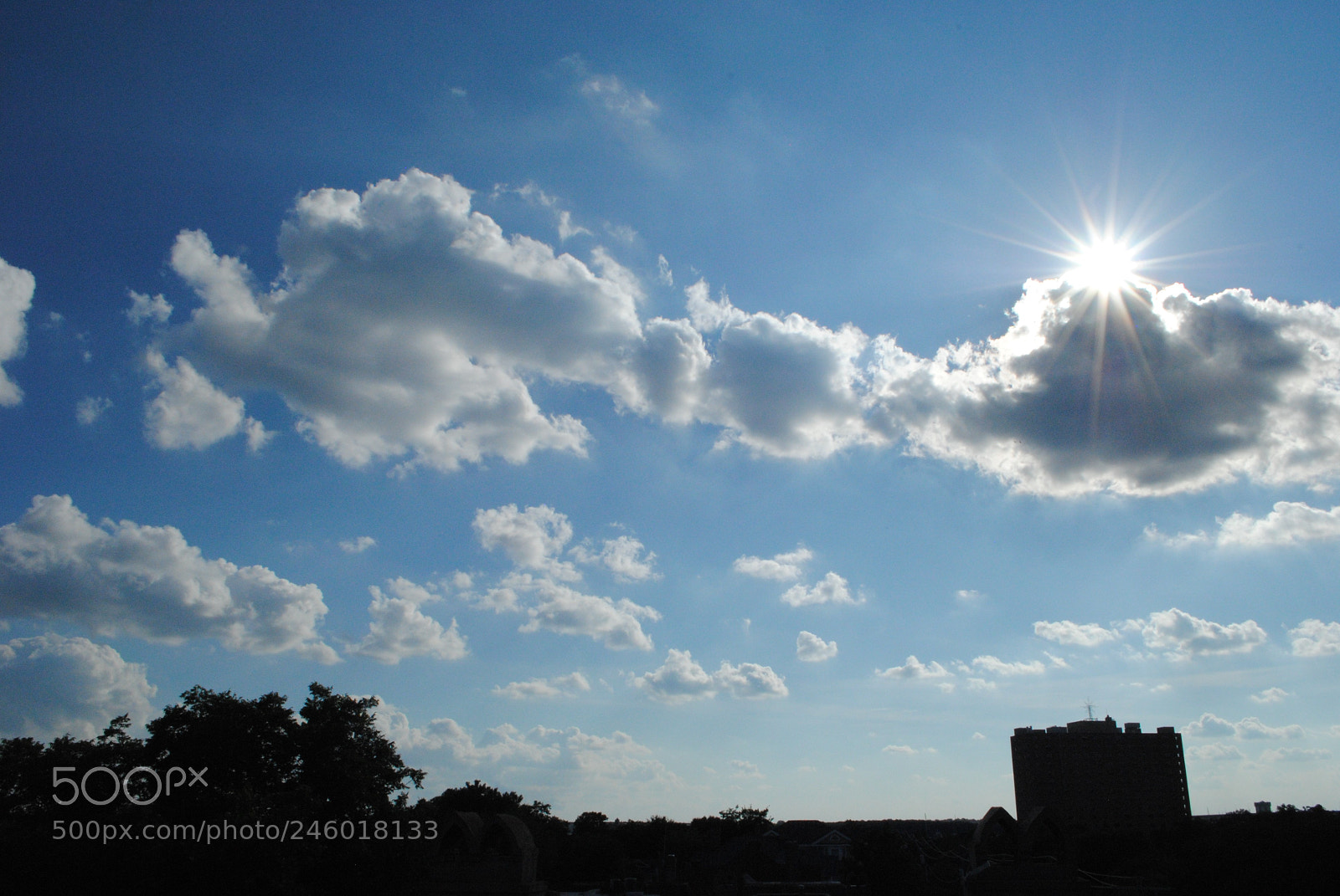 Nikon D3000 sample photo. The roof series photography