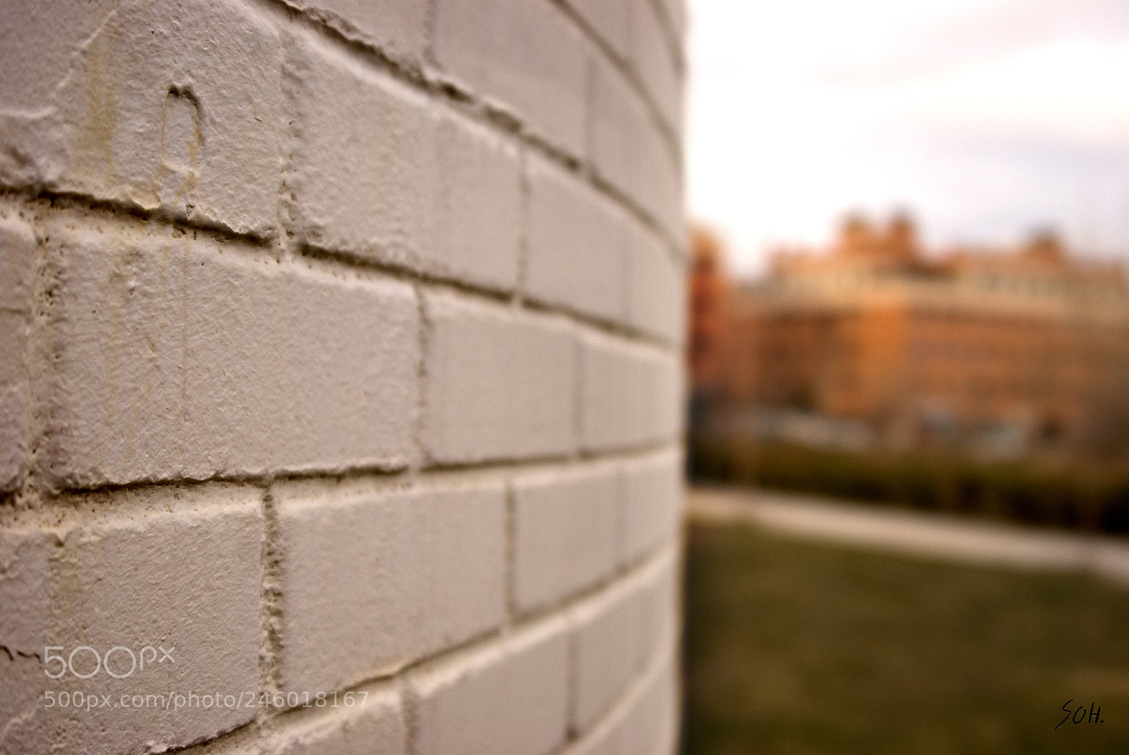 Nikon D40X sample photo. Muro blanco photography