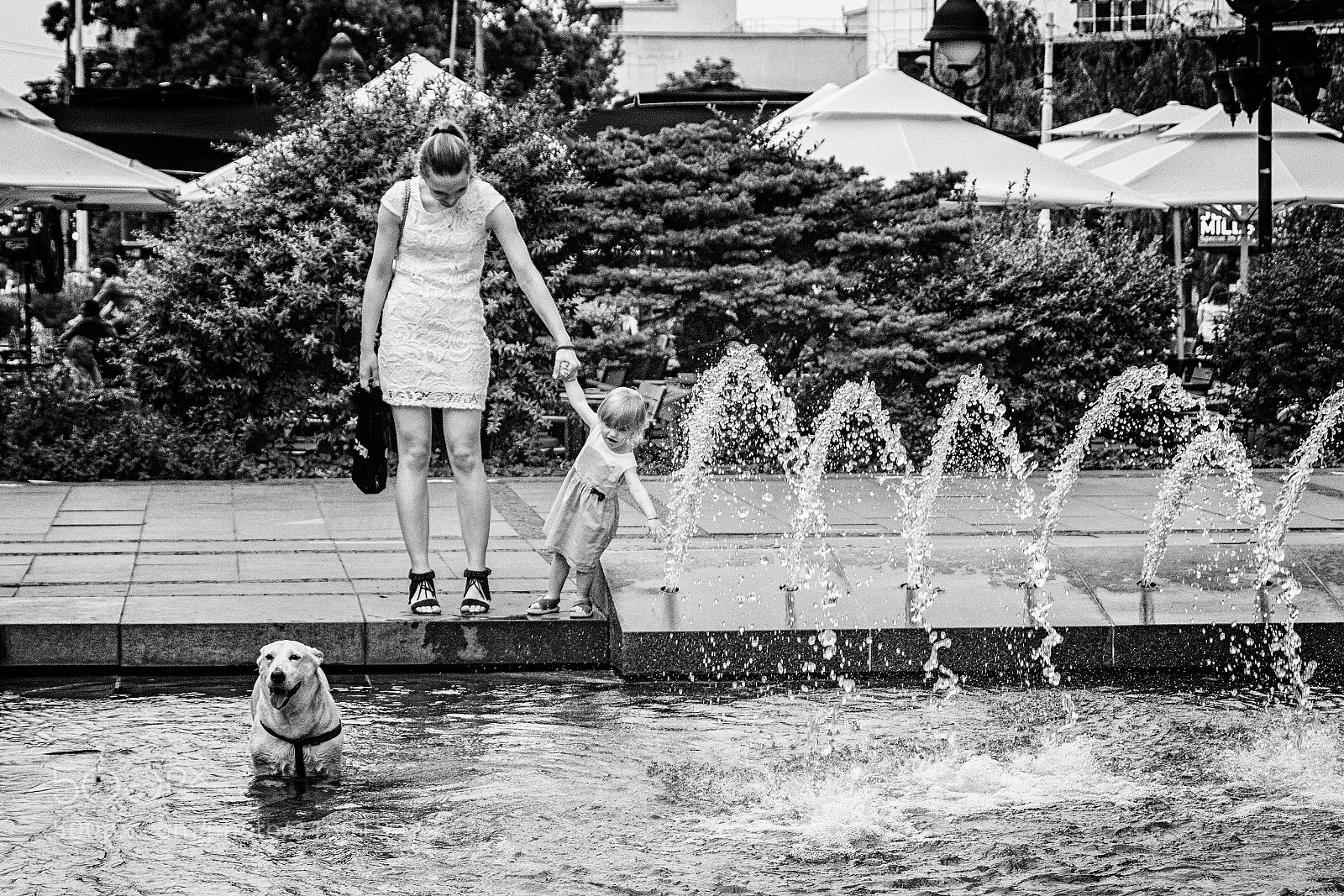 Canon EOS 760D (EOS Rebel T6s / EOS 8000D) sample photo. Heat wave photography