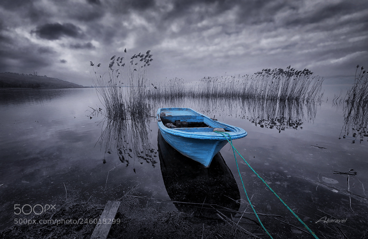 Olympus OM-D E-M5 II sample photo. Blue dreams boat.. photography