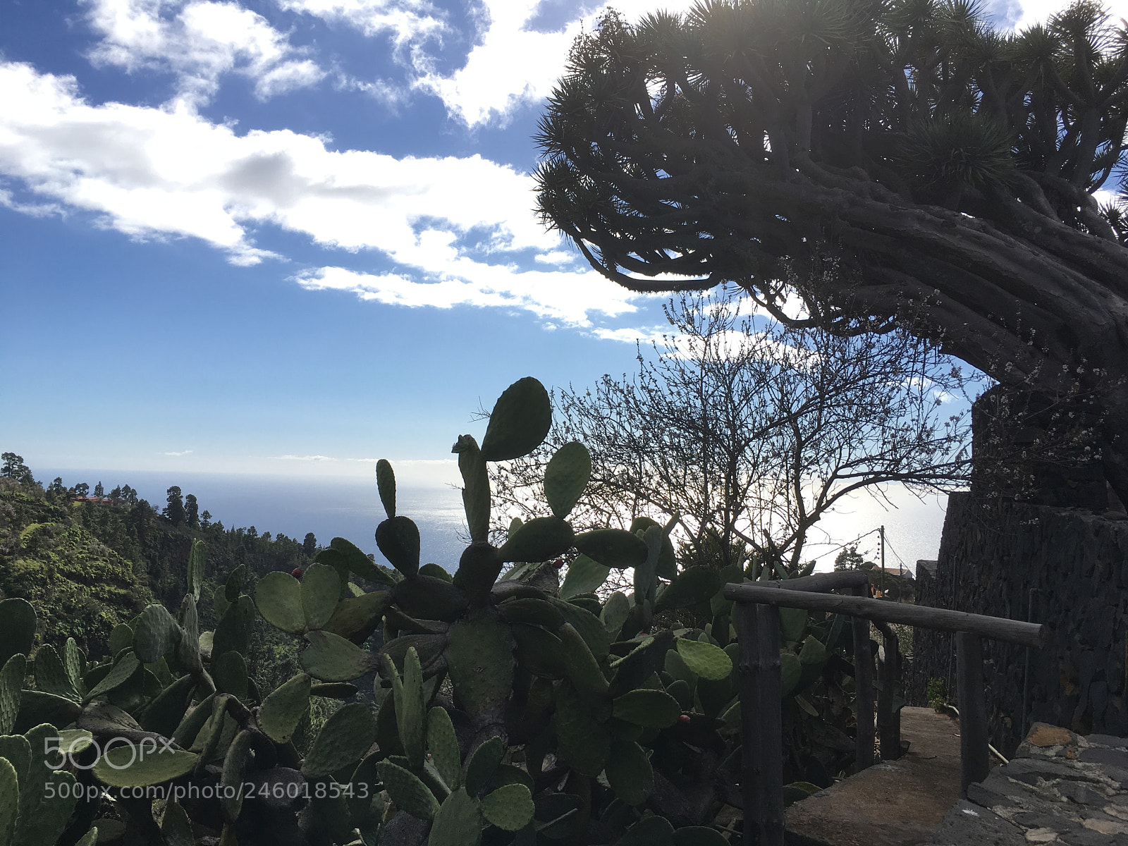 Apple iPhone SE sample photo. La palma photography