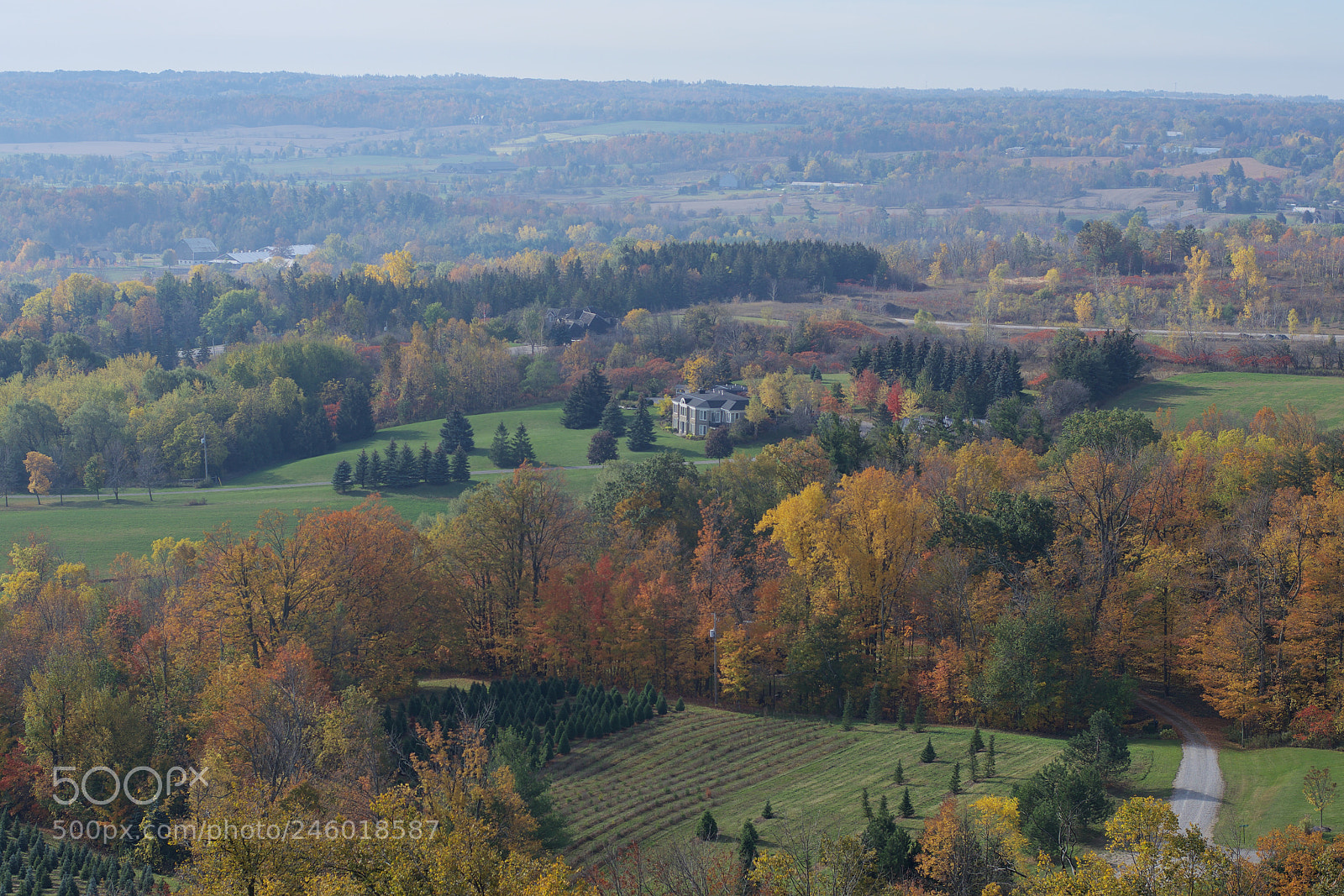 Nikon D800 sample photo. Autumn overview photography