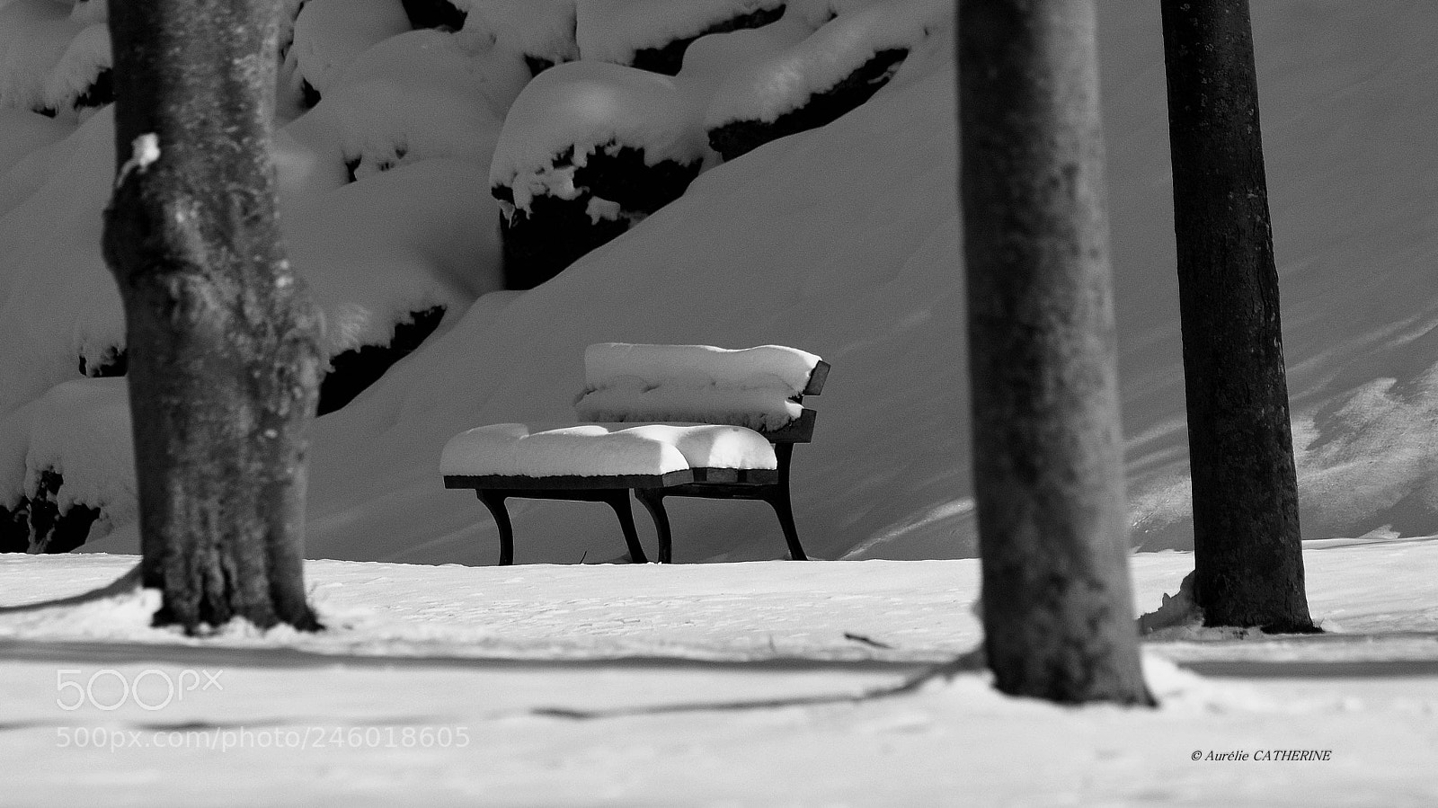 Nikon D5200 sample photo. Don't sit photography