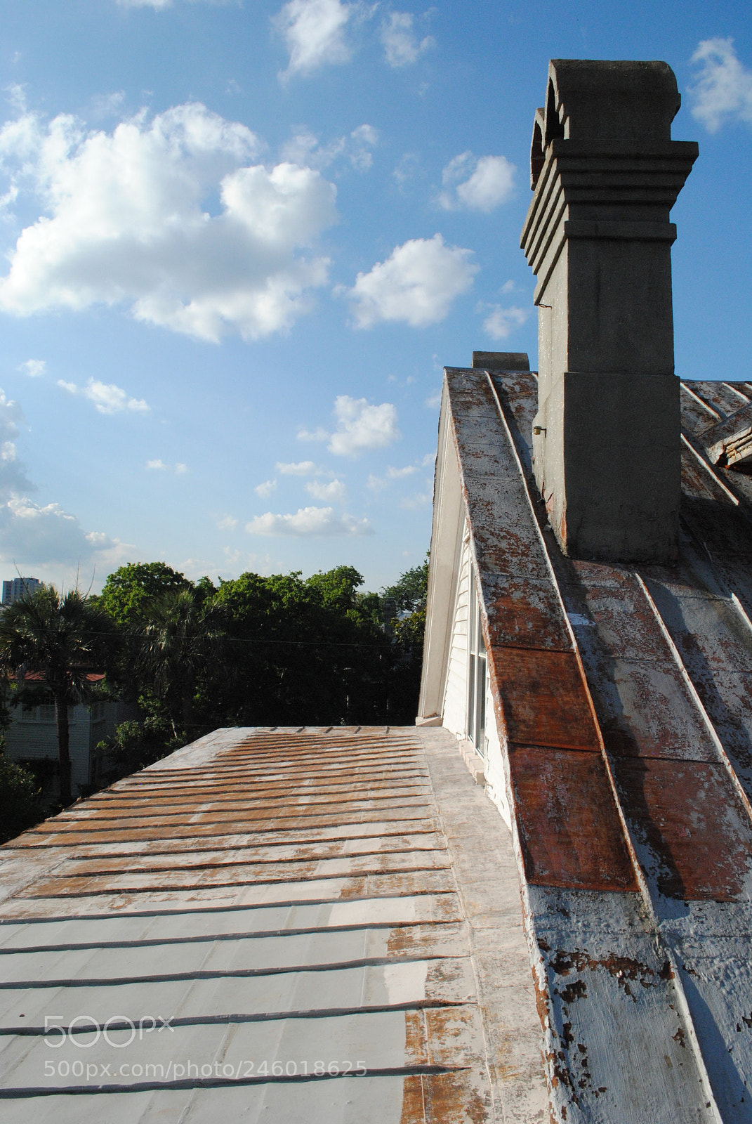 Nikon D3000 sample photo. The roof series photography