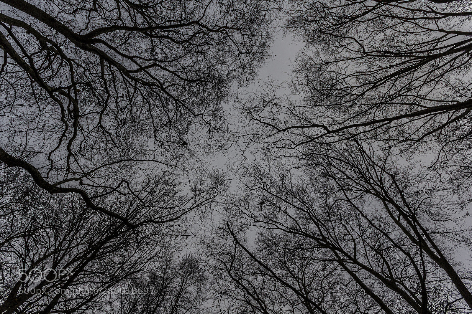 Canon EOS 60D sample photo. Strange photography