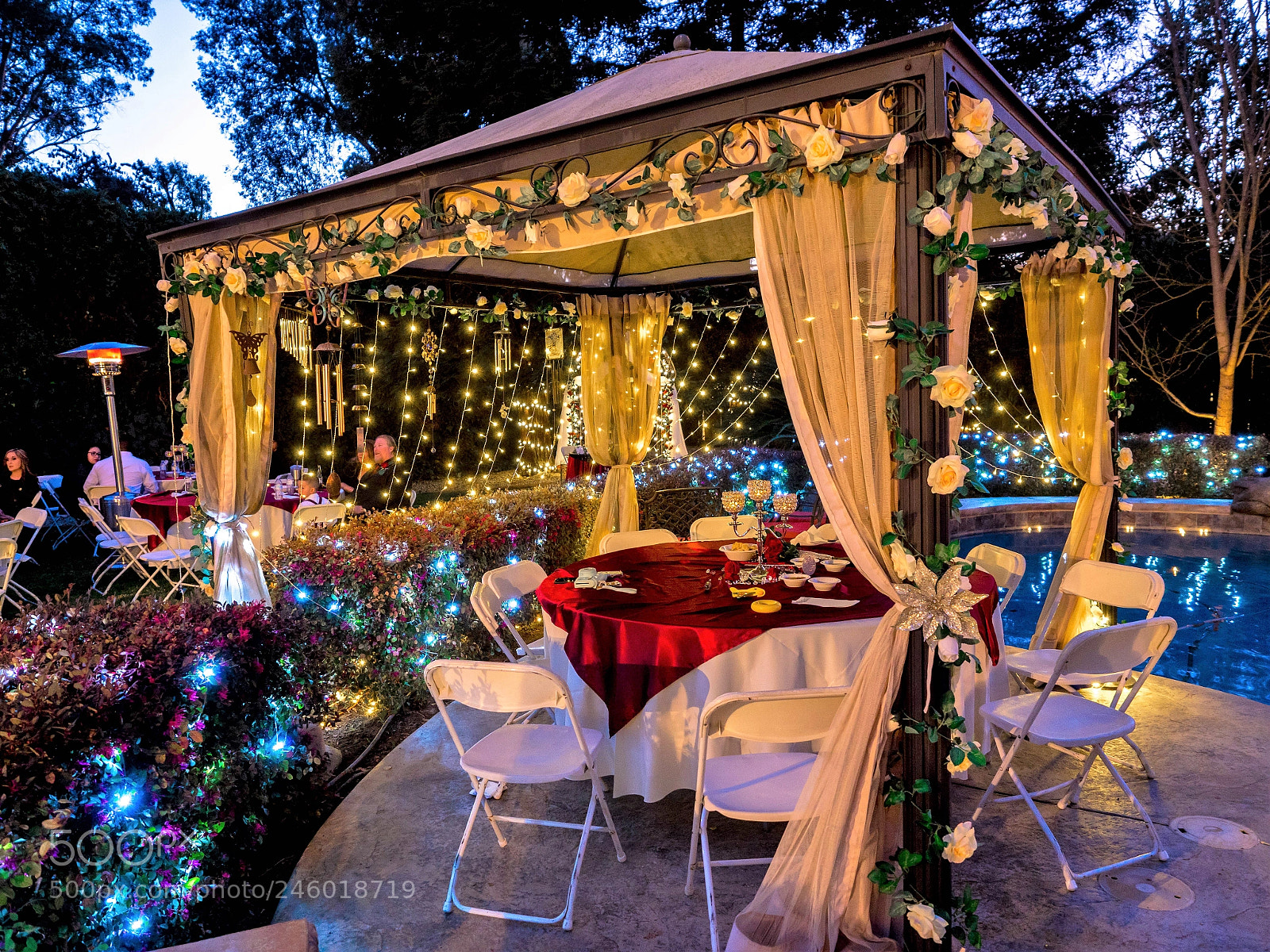 Panasonic Lumix DC-G9 sample photo. Waiting for the guests photography