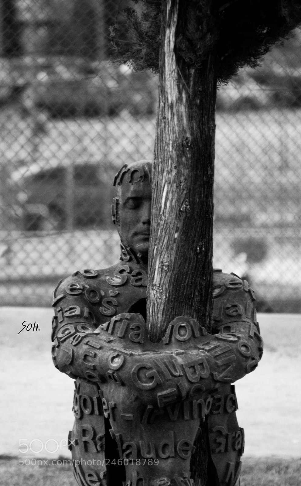 Nikon D40X sample photo. Madre tierra photography