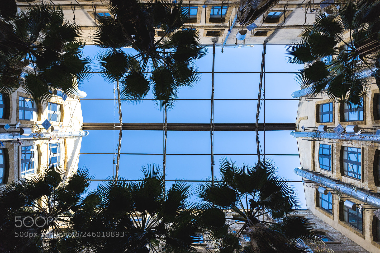Canon EOS 6D Mark II sample photo. Untitled photography