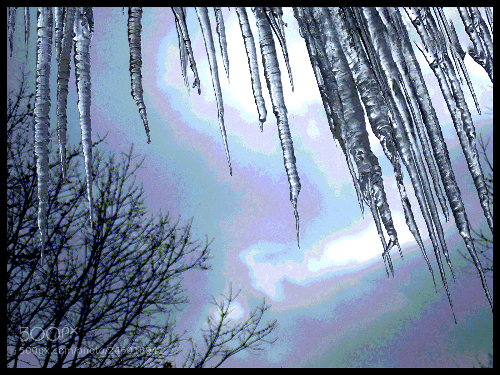 Olympus TG-5 sample photo. A long winter photography