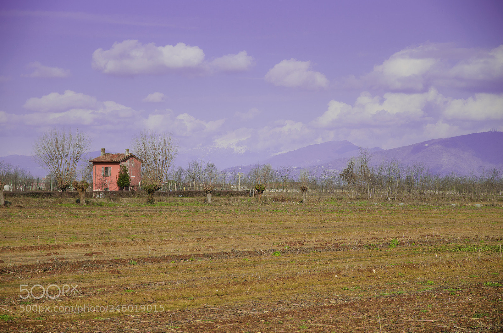 Nikon D5100 sample photo. Ghedi (bs) 01/18 photography