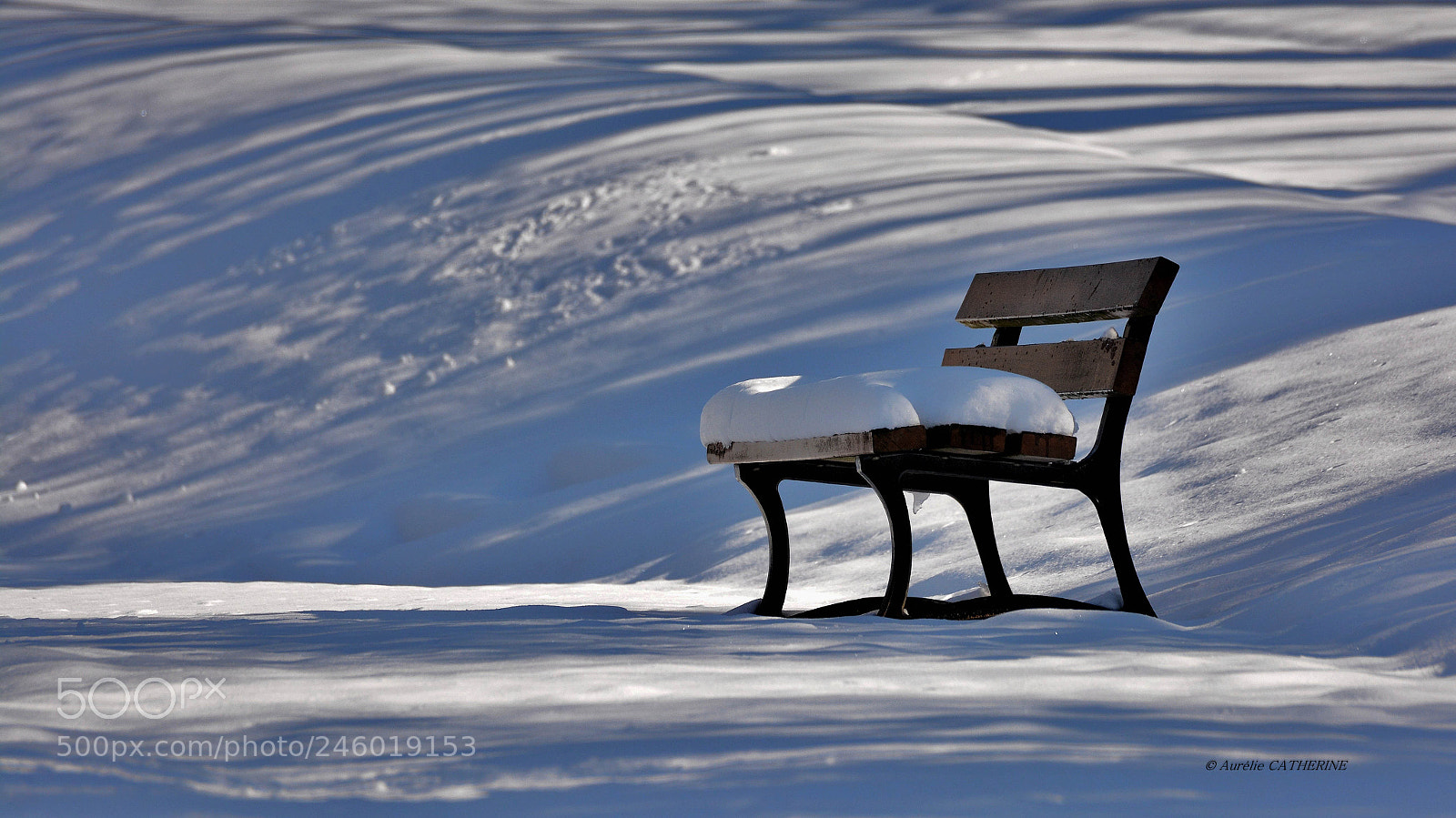 Nikon D5200 sample photo. Want to sit ? photography