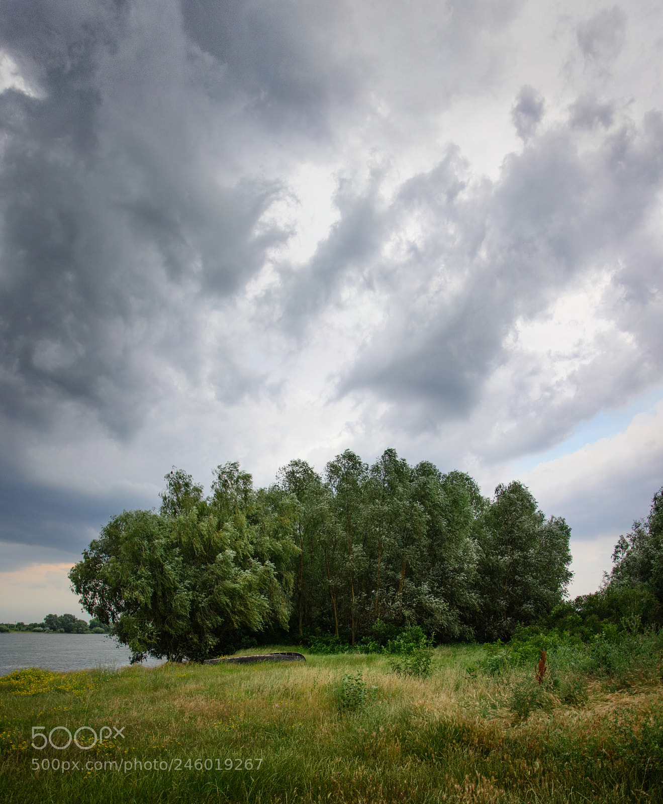 Nikon D5200 sample photo. Summer rains, you can photography