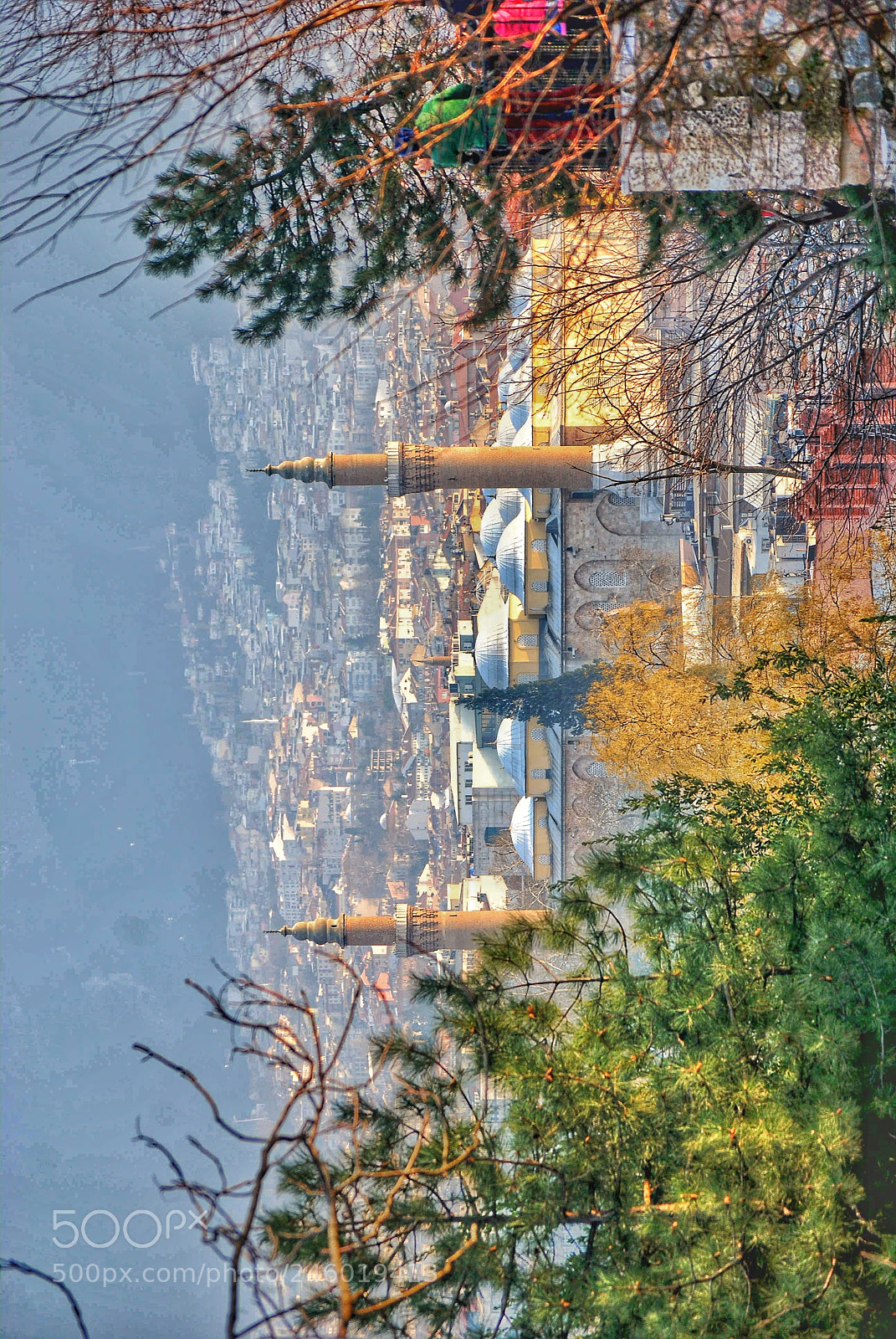 Nikon D3000 sample photo. Untitled photography