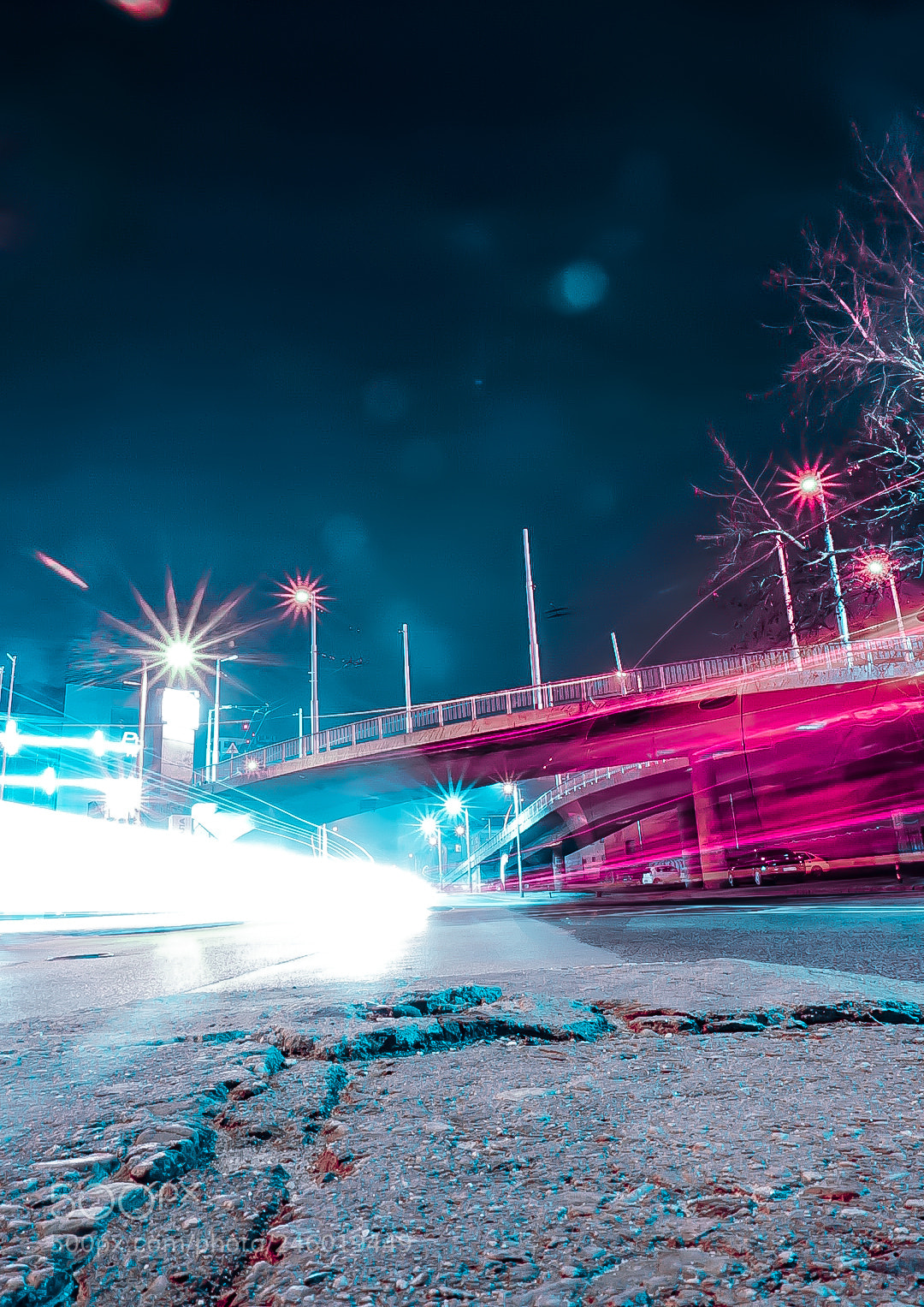 Sony a7 II sample photo. ? ? photography