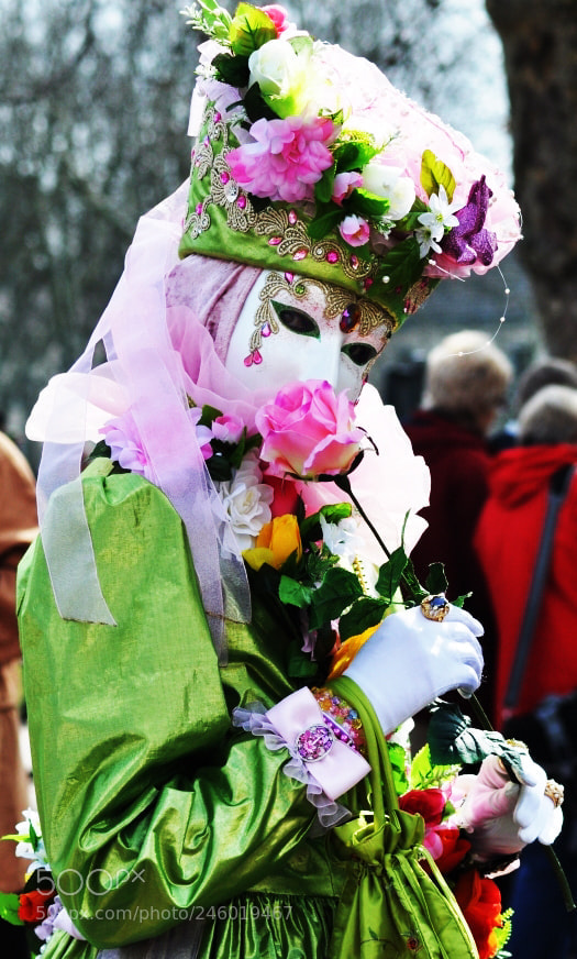 Nikon D90 sample photo. Flower photography