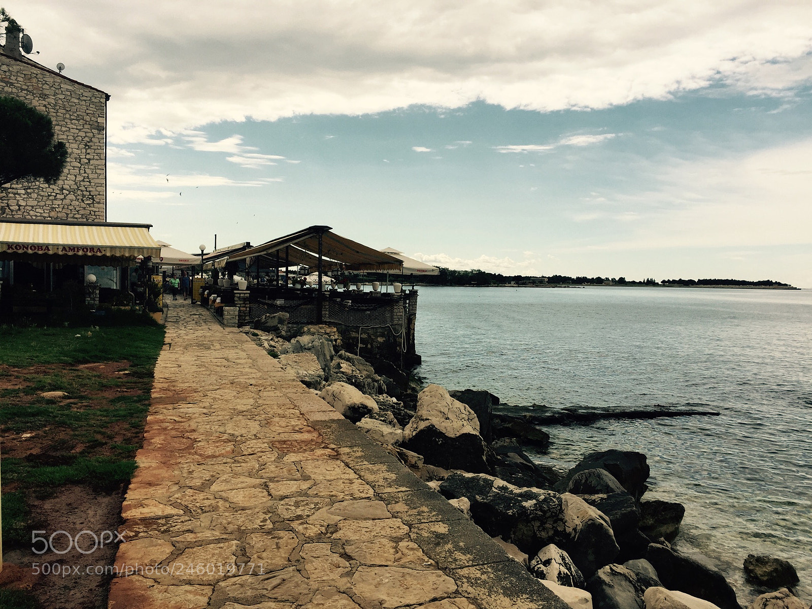 Apple iPhone 6 sample photo. Untitled photography
