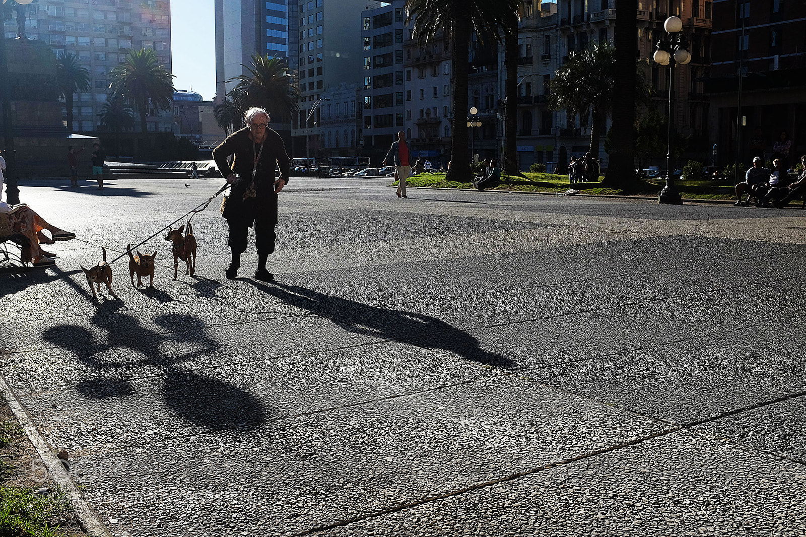 Fujifilm X100S sample photo. Paseos diarios ... photography