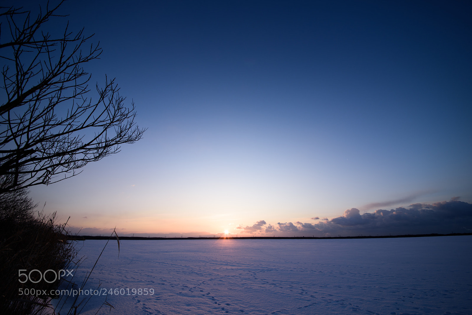 Nikon D810 sample photo. Snowy field photography