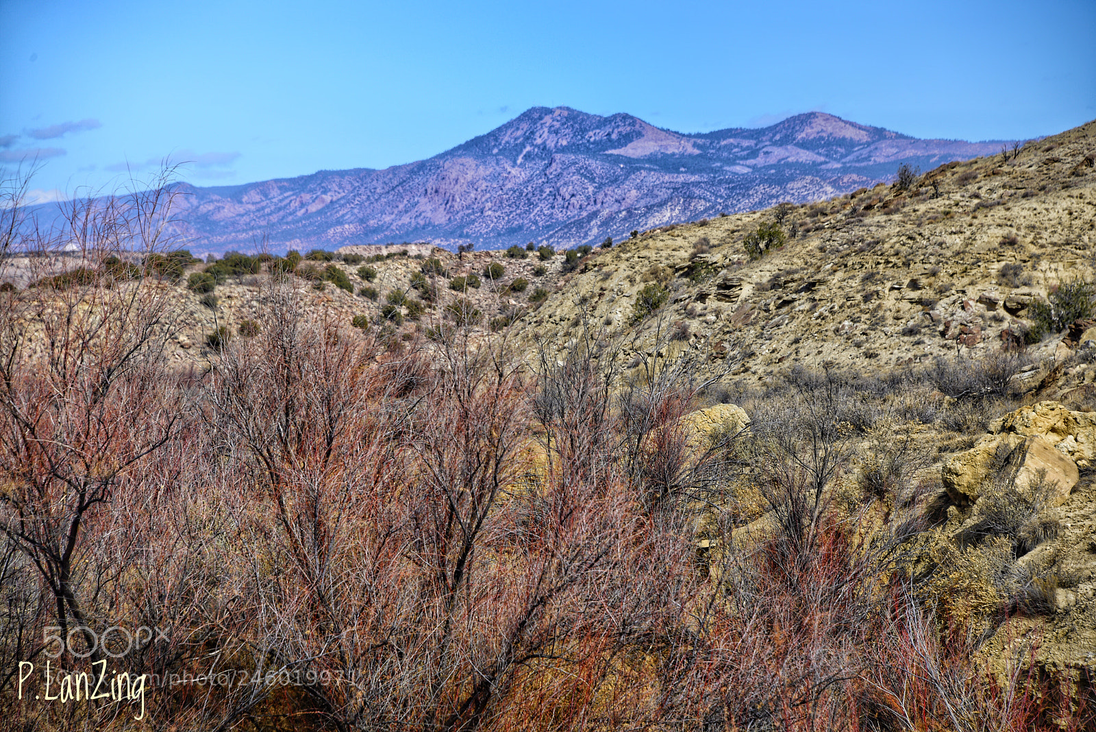 Nikon D810 sample photo. Ojito wilderness, new mexico photography