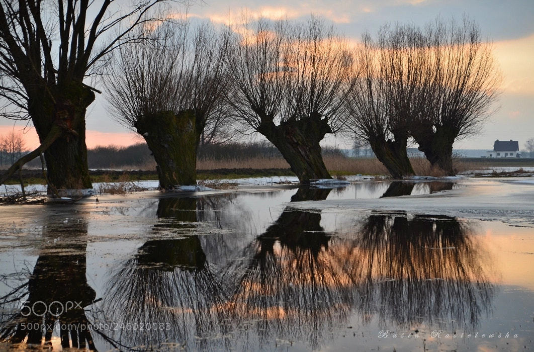 Nikon D5100 sample photo. Polish landscapes... photography