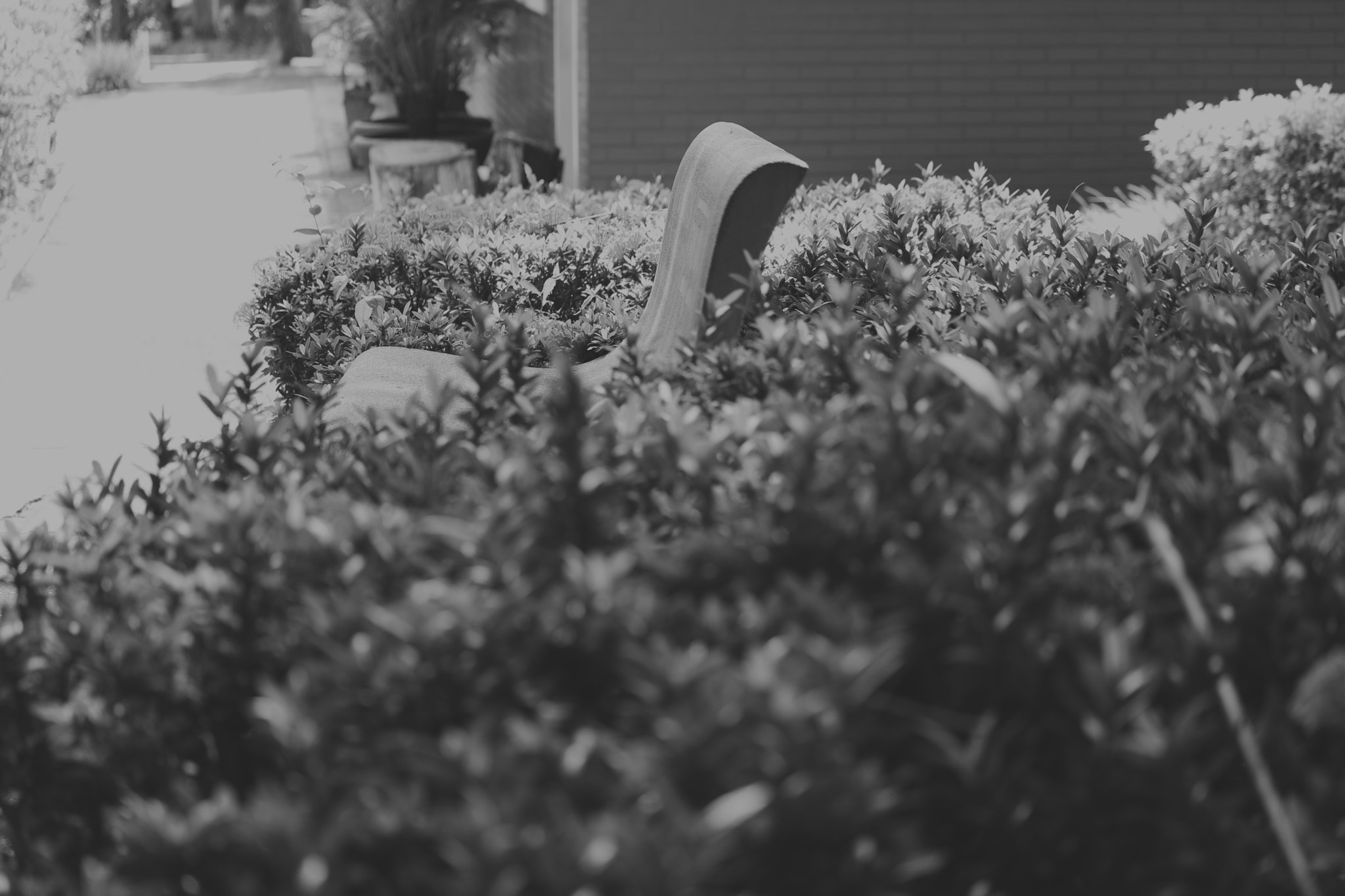 Canon EF-S 55-250mm F4-5.6 IS STM sample photo. Banco do parque photography