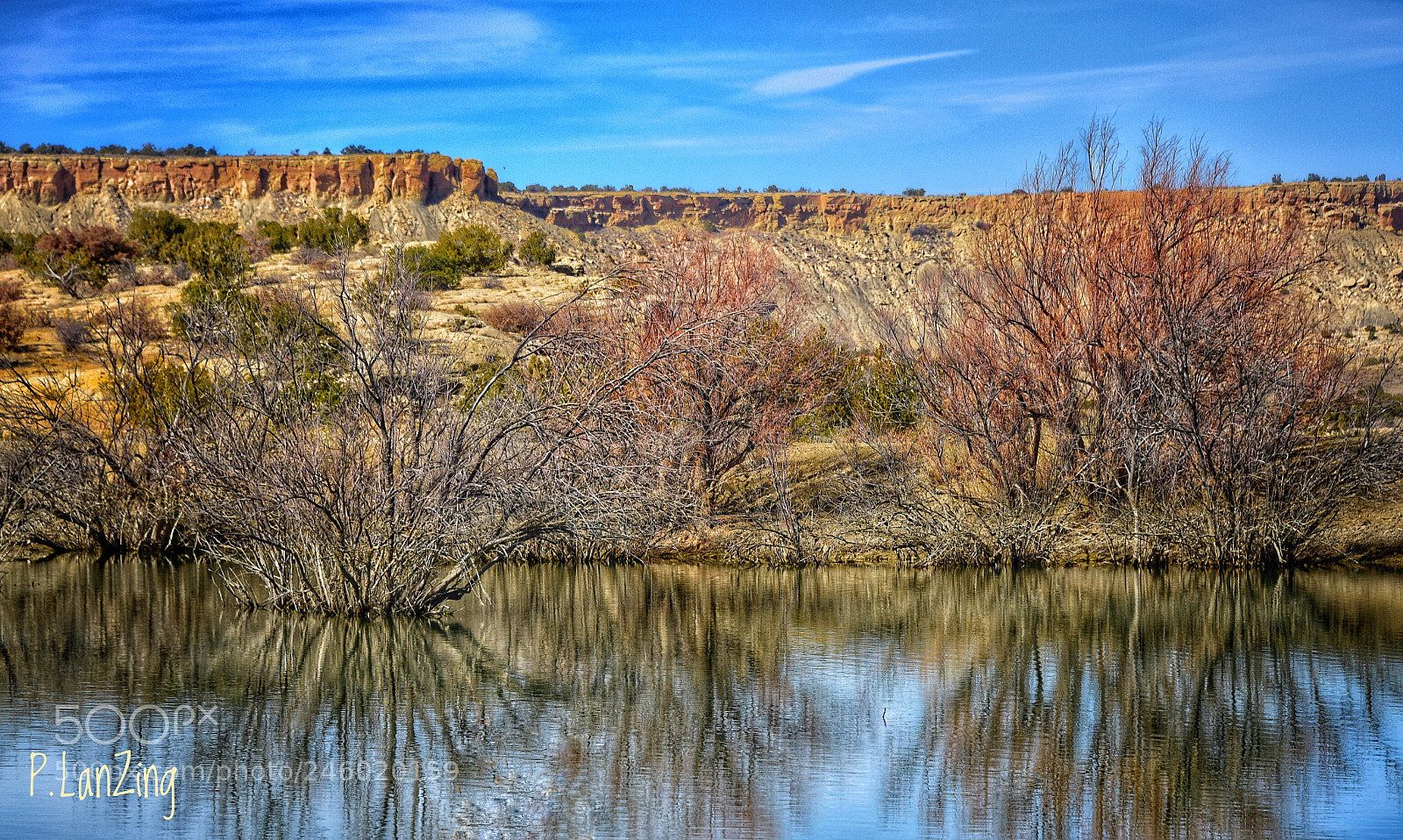 Nikon D810 sample photo. Desert oasis, new mexico photography