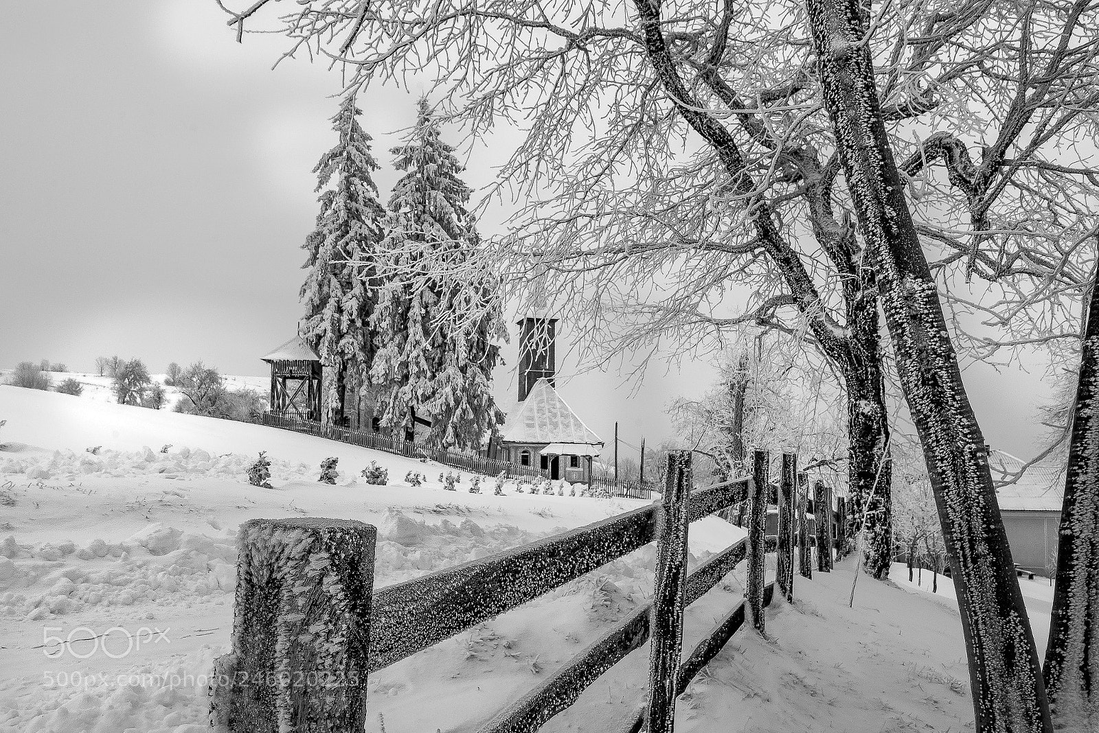 Nikon D610 sample photo. Winter in b&w photography