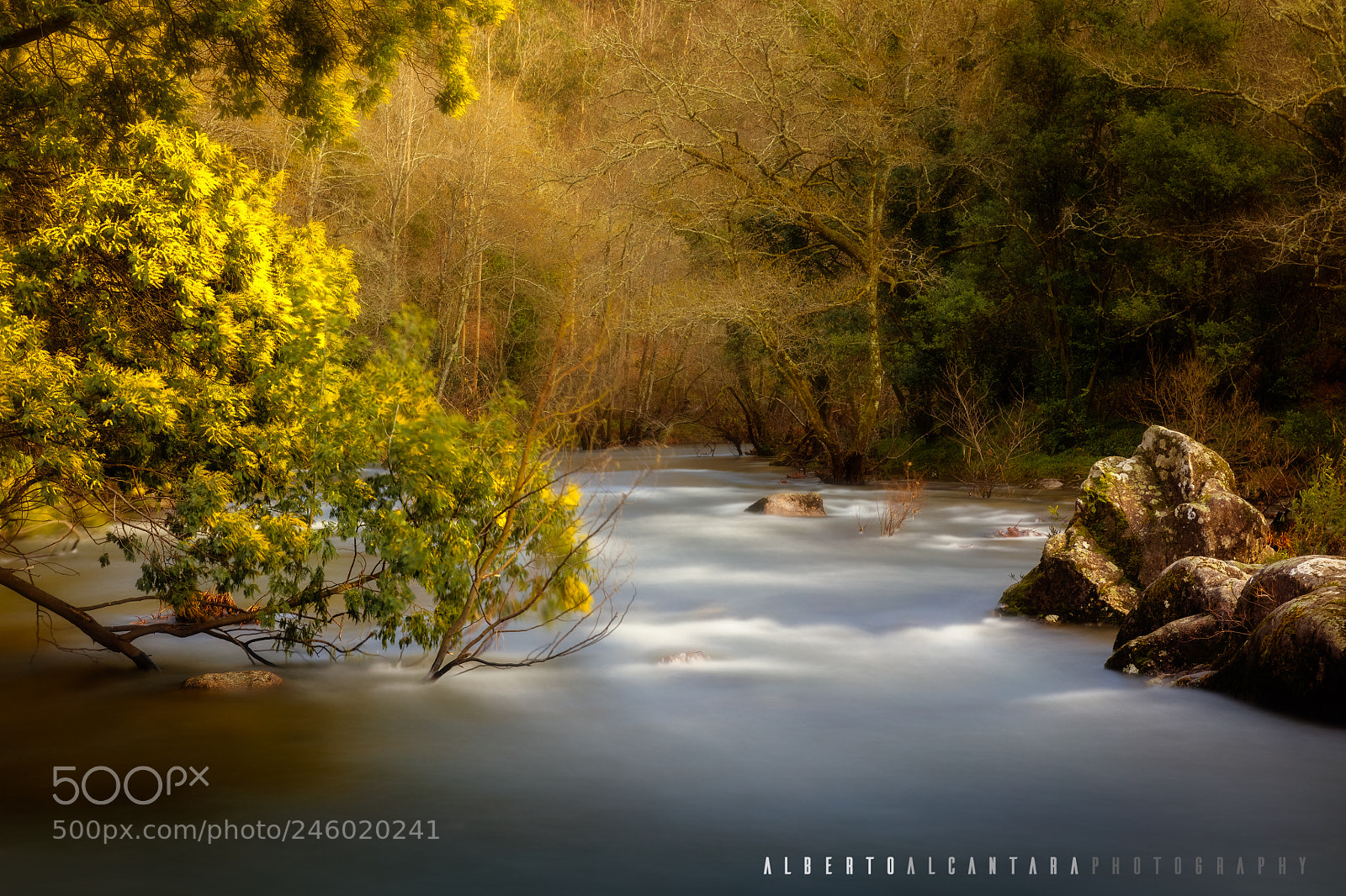Canon EOS 5DS R sample photo. Río verdugo photography