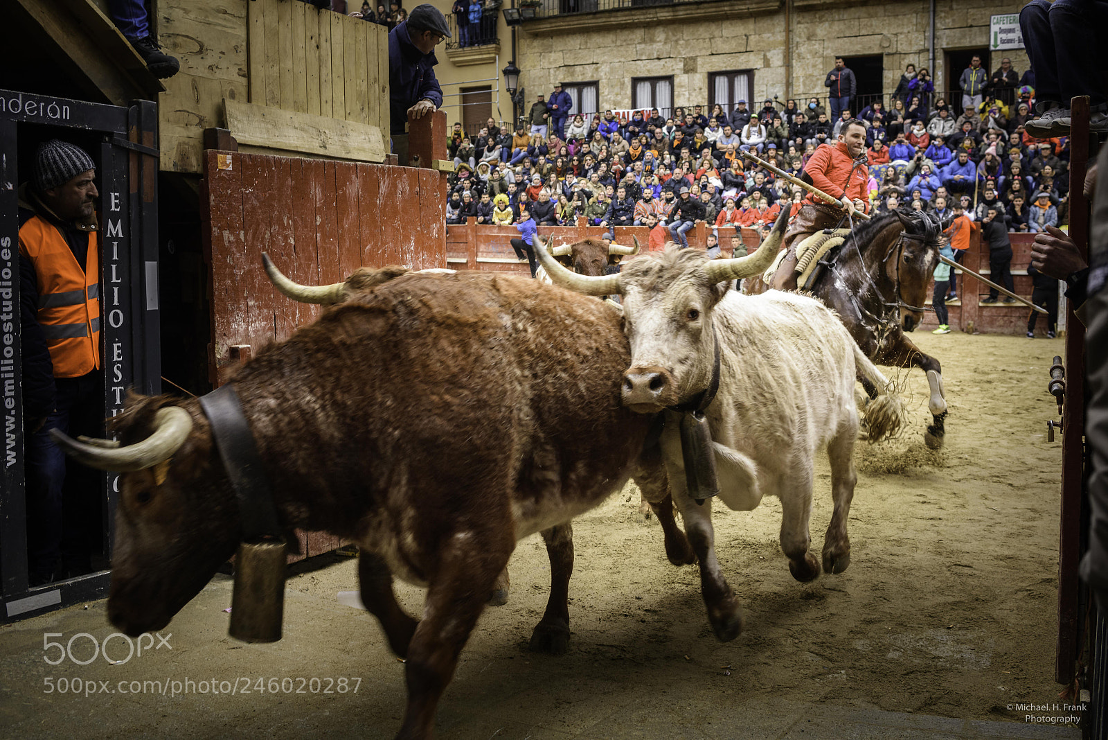 Nikon D810 sample photo. Carnaval de toros ciudad photography