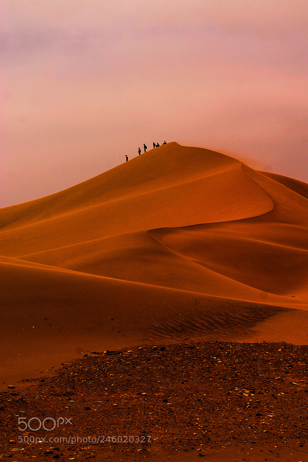 Canon EOS 10D sample photo. Dune photography