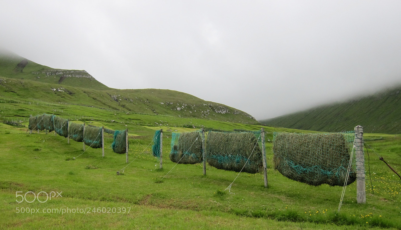 Canon PowerShot S95 sample photo. Making hay at faroe photography