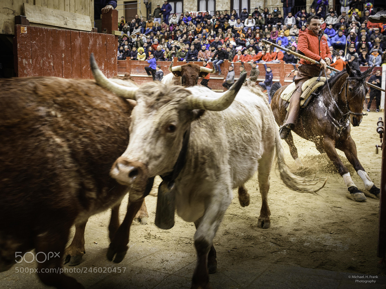 Nikon D810 sample photo. Carnaval de toros ciudad photography