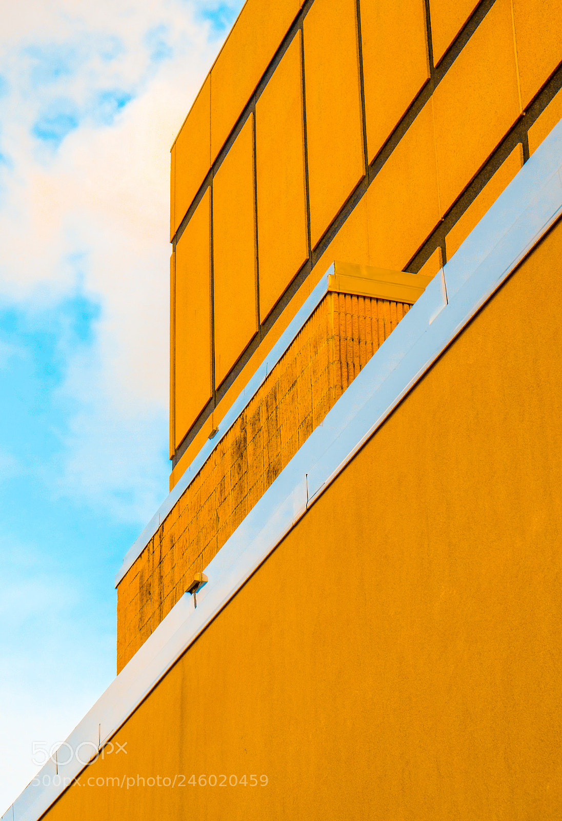Fujifilm X-T10 sample photo. Yellow photography