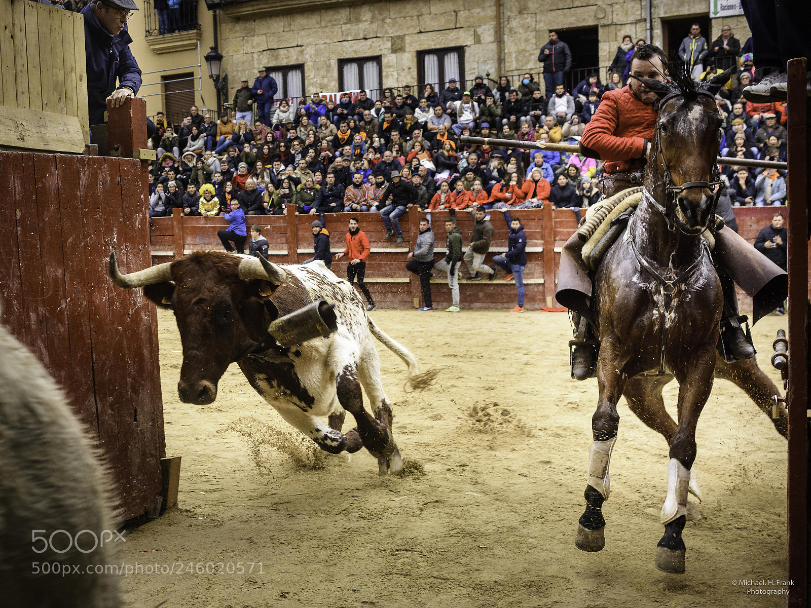 Nikon D810 sample photo. Carnaval de toros ciudad photography