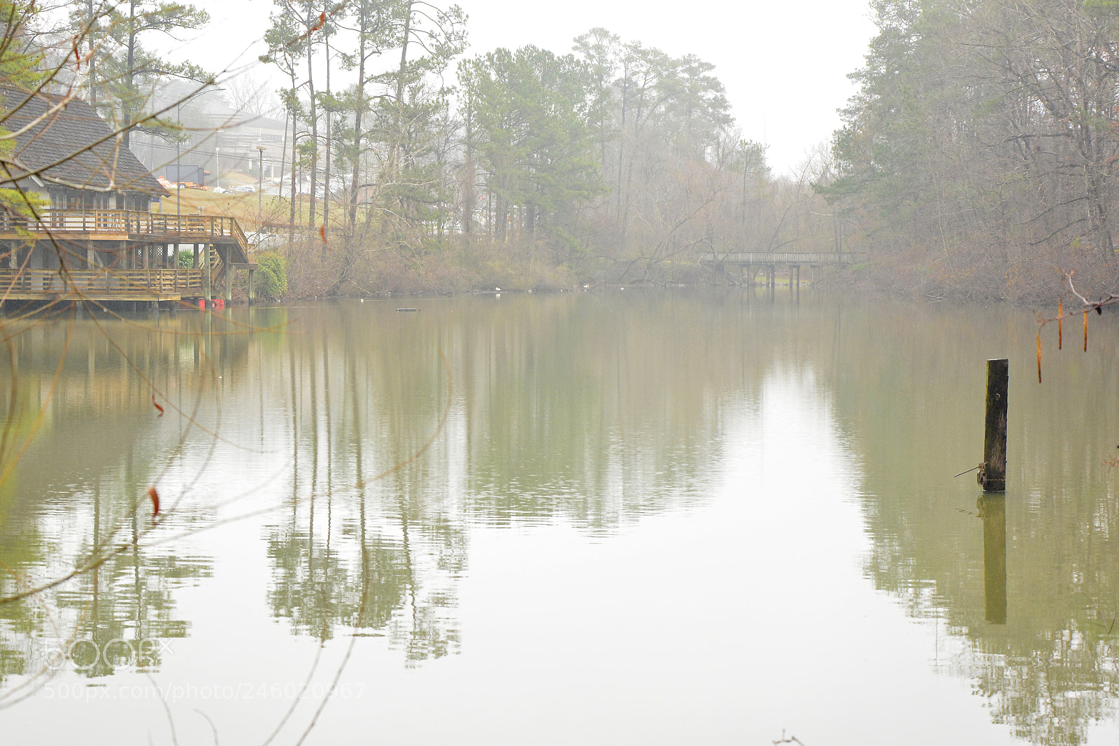 Nikon D7100 sample photo. Morning fog on lake photography